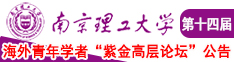桃红色界，想要导航南京理工大学第十四届海外青年学者紫金论坛诚邀海内外英才！